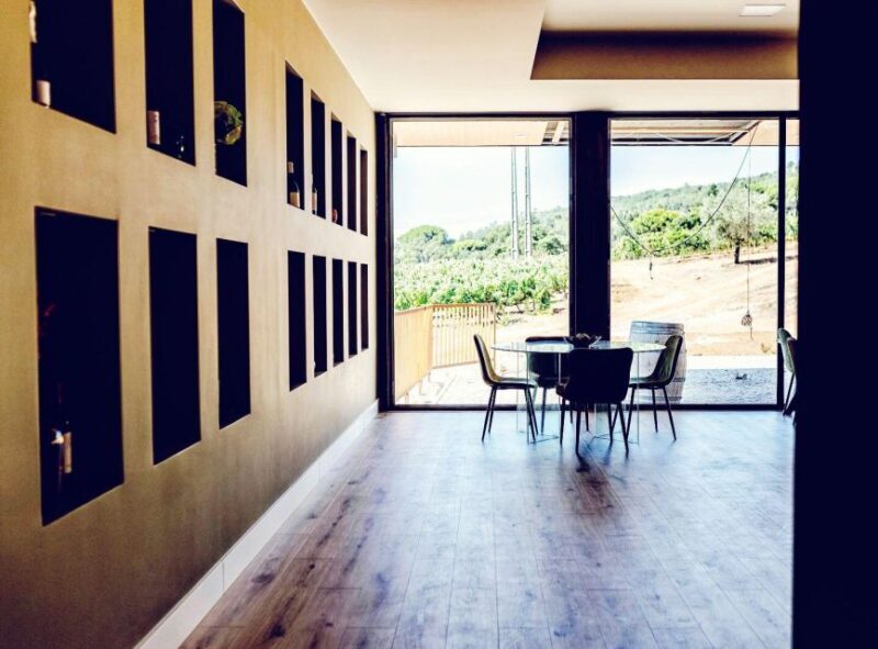 Private Lisbon Arrábida Wine Tour: Culture, Scenery & Wines - Final Thoughts