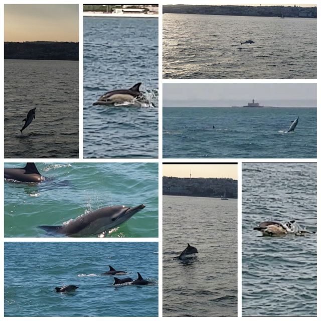 Private Lisbon Sightseeing Sailing Boat Tour with Locals - Practical Tips for Your Sailing Adventure