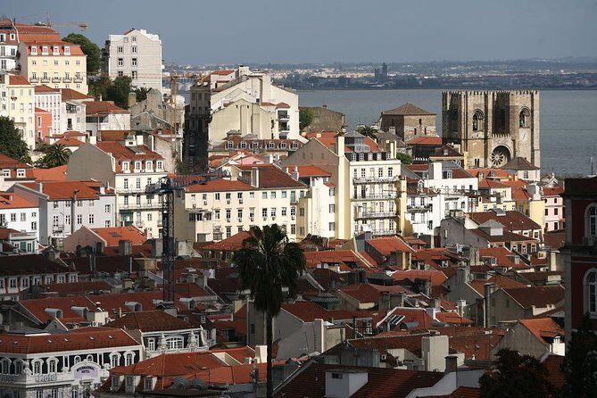 Private Lisbon Walking Tour - A Closer Look at the Tour