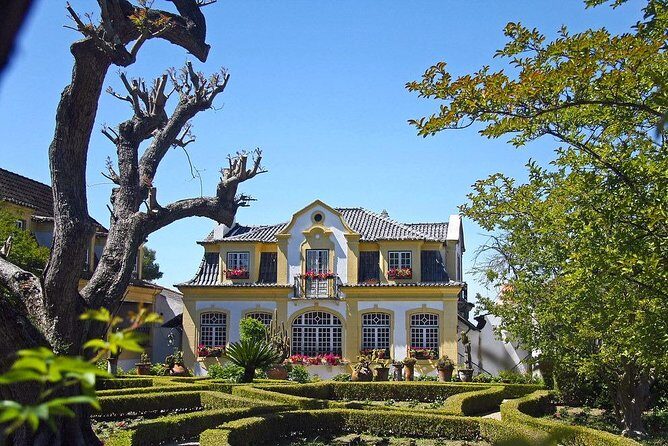 Private Lisbon wine tasting tour in the Setubal region - A Deep Dive: What Makes This Tour Special?