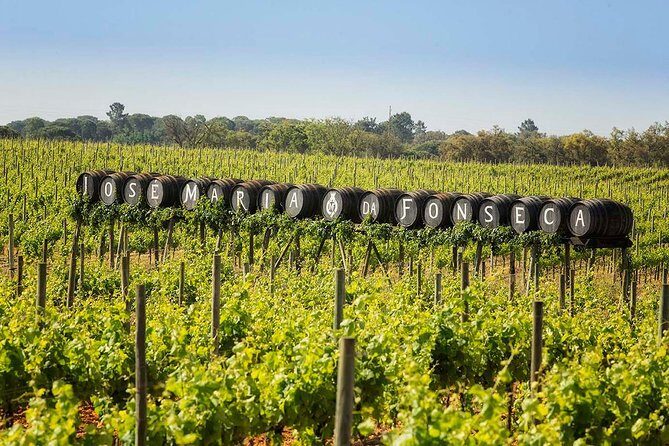 Private Lisbon wine tasting tour in the Setubal region - The Experience You’ll Love