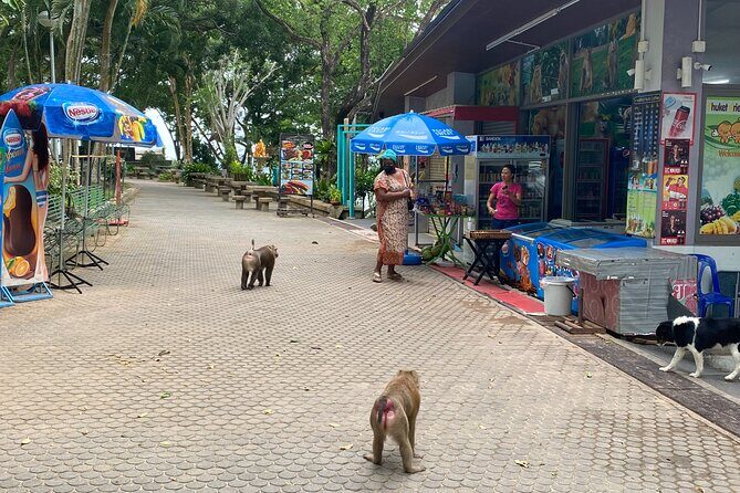 Private local city tour with english speaking driver - Final Words