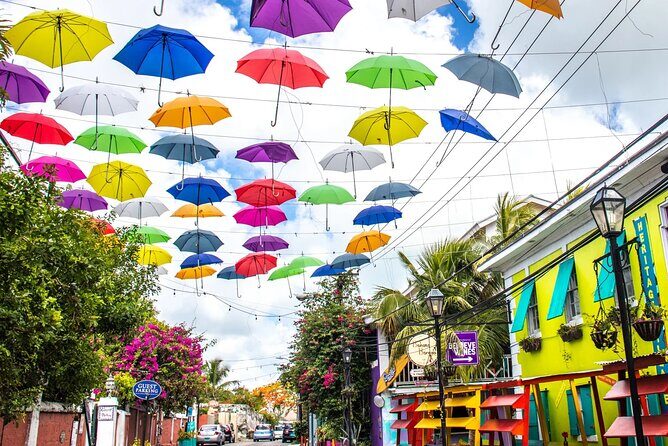 Private Local Flavors and Artisan Tour of Nassau - A Deep Dive into the Nassau Flavors and Crafts Tour