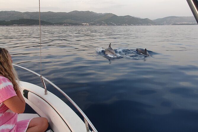 Private Local Guided Speedboat Tour in Dubrovnik Archipelago - Who Should Book This Tour?