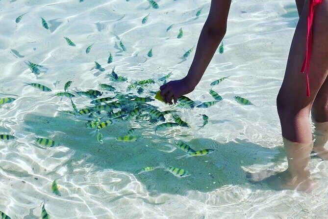 Private Longtail Boat Tour to Hong Islands - FAQ