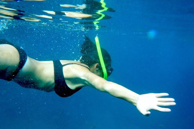 Private Los Arcos Snorkel and Beach Tour from Puerto Vallarta - Key Points