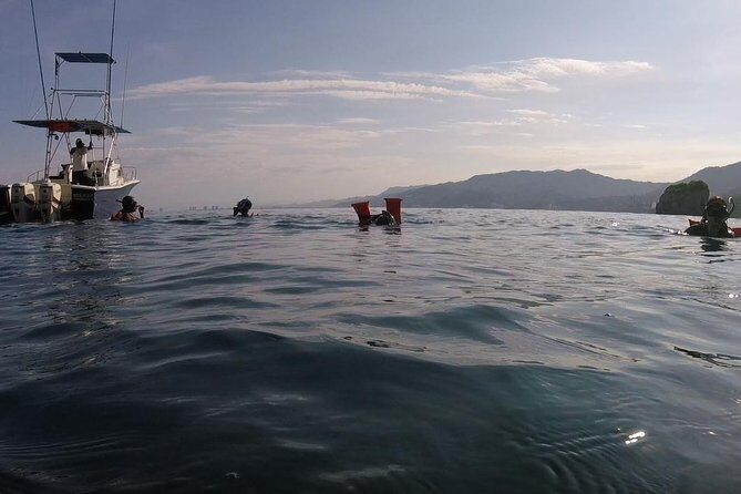 Private Los Arcos snorkeling - Key Points