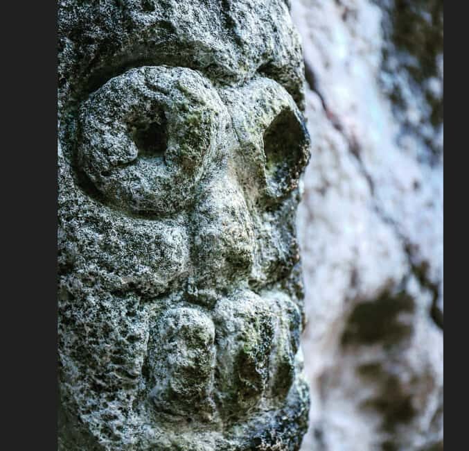 Private: Los Haitises & Cayo Levantado from Samana - The Guide and Personalization