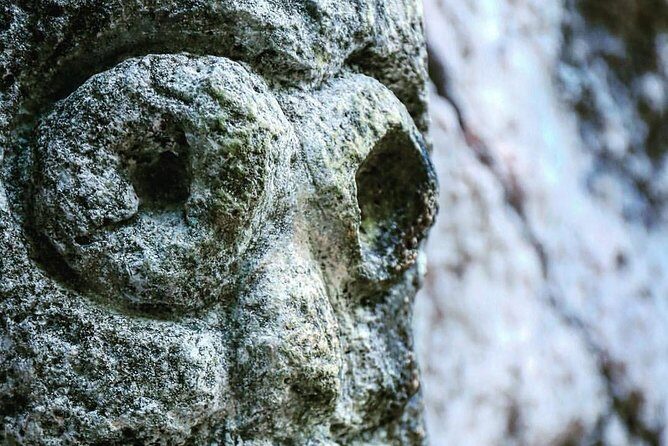 Private Los Haitises National Park and Caño Hondo Guided Tour with Lunch - FAQ