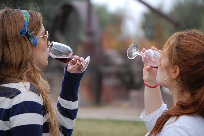 Private Luján de Cuyo Wine-Tasting Tour - Exploring the Heart of Mendoza’s Wine Country