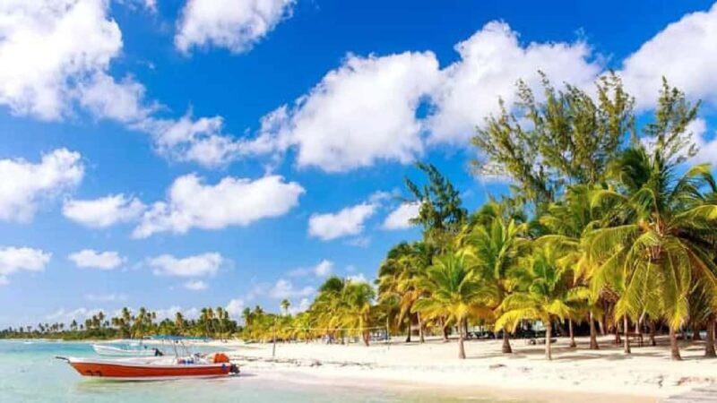 Private: Lunch on a Catamaran Cruise Around Catalina Island - Key Points