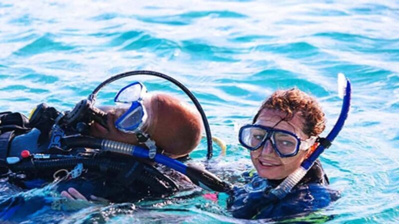 Private: Lunch on a Catamaran Cruise Around Catalina Island - Who It’s Best For