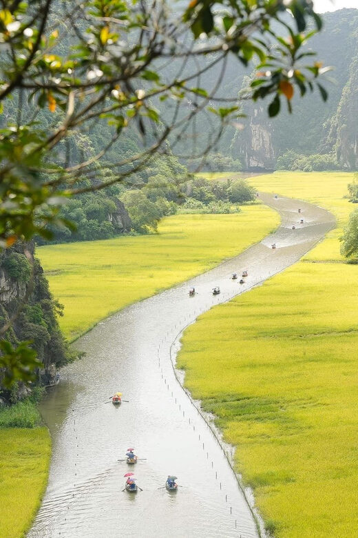 Private Luxury 1 Day Trip: Hoa Lu, Tam Coc, Mua Cave, Biking - Key Points