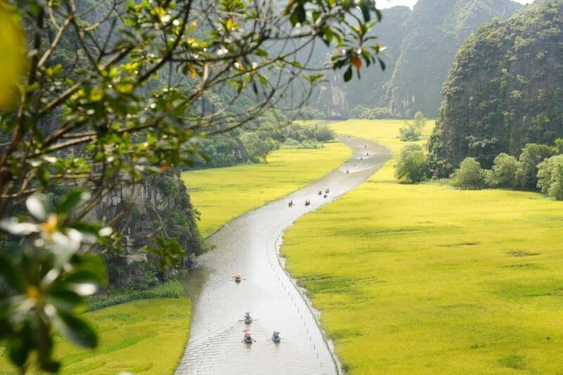 Private Luxury 1 Day Trip: Hoa Lu, Tam Coc, Mua Cave, Biking - An In-Depth Look at the Tour Experience
