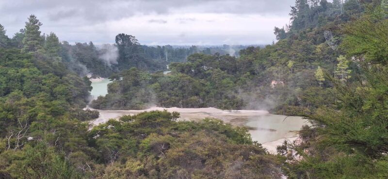 Private Luxury Auckland - Rotorua Geothermal Wonderlands - What Sets This Tour Apart