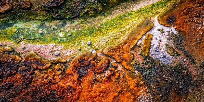 Private Luxury Auckland - Rotorua Geothermal Wonderlands - Final Words