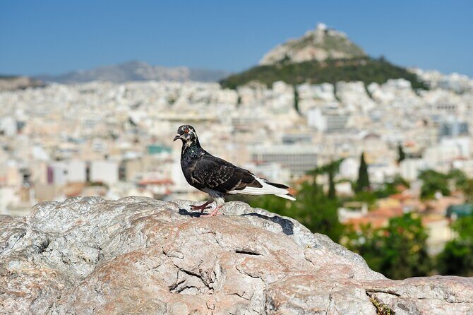 Private Luxury Biblical Tour: Apostle Paul in Athens & Corinth - Exploring the Apostle Paul’s Footsteps in Athens & Corinth