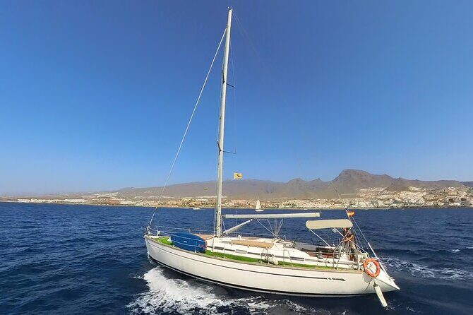 Private Luxury Boat Excursion Tour in Puerto Colon - Discover Tenerife from the Water: A Private Luxury Boat Excursion in Puerto Colon