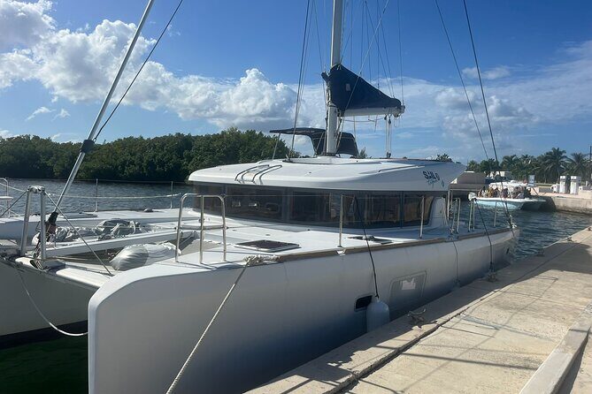 Private Luxury Catamaran Tour to Stingray City and Snorkel - Key Points