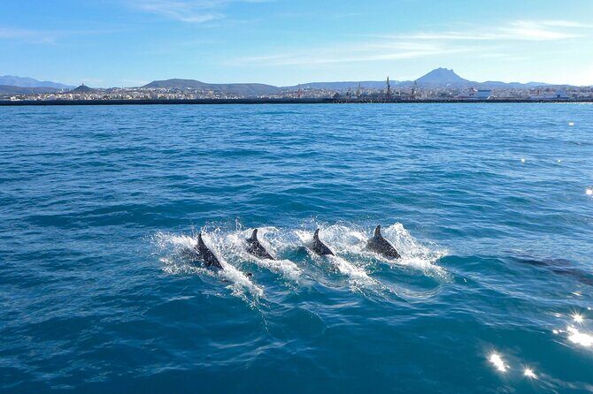 Private luxury Escape Sailing, Snorkel and Lunch Cruise - Who Should Consider This Experience?