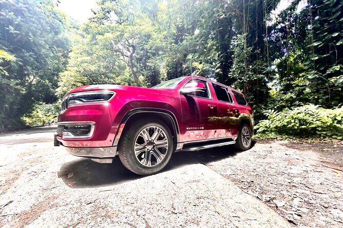 Private Luxury Hana Tour in 7 Passenger SUV - Final Thoughts on the Private Hana Tour in Maui