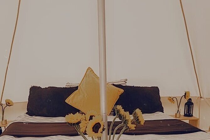 Private Luxury Picnic Experience in Hollywood - A Taste of Luxury and Nature in Fort Lauderdale