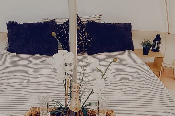 Private Luxury Picnic Experience in Hollywood - Key Points