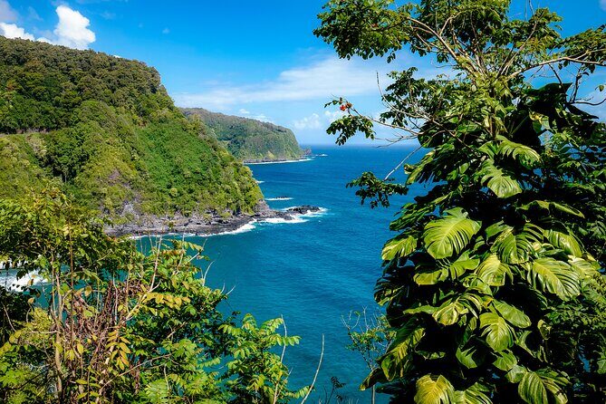 Private Luxury SUV Road to Hana Experience - Who Will Love This Tour?