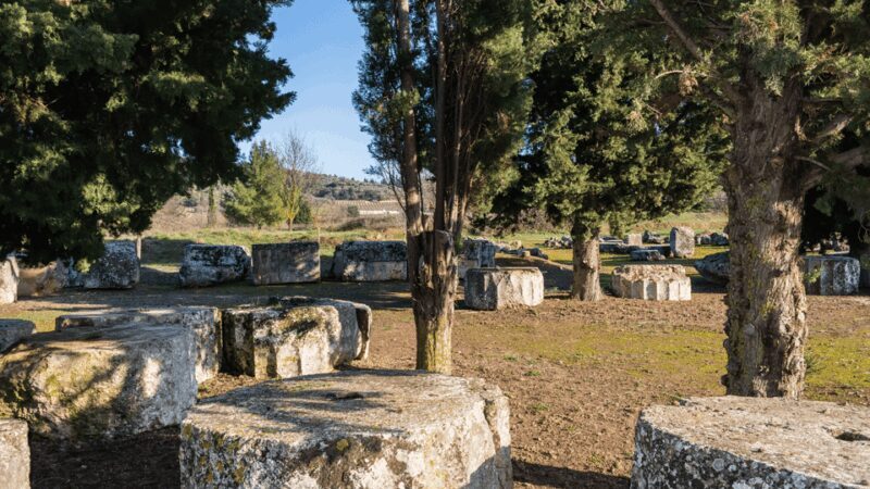 Private Luxury Tour: Nemea's Ancient Sites & Wine Tasting - A Detailed Look at the Tour Experience