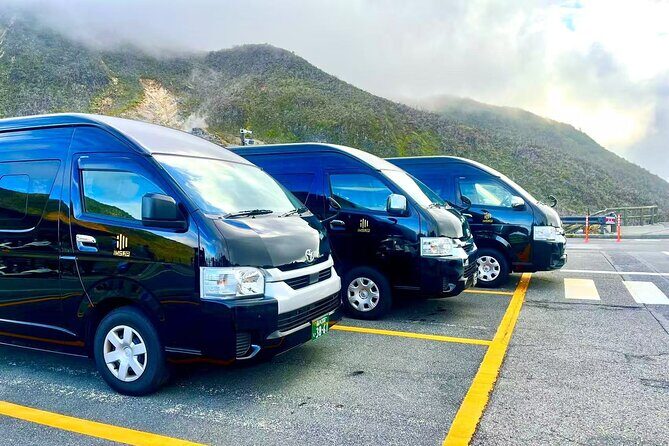 Private Luxury Transfer to or from Haneda Airport (One-Way) - Final Remarks