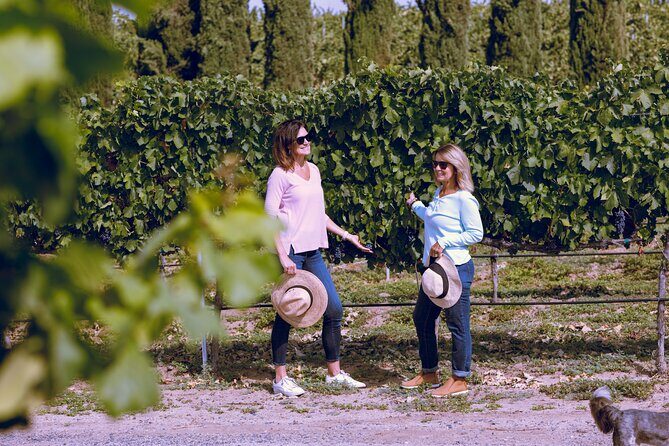 Private Luxury Transportation Experience - Napa - Key Points