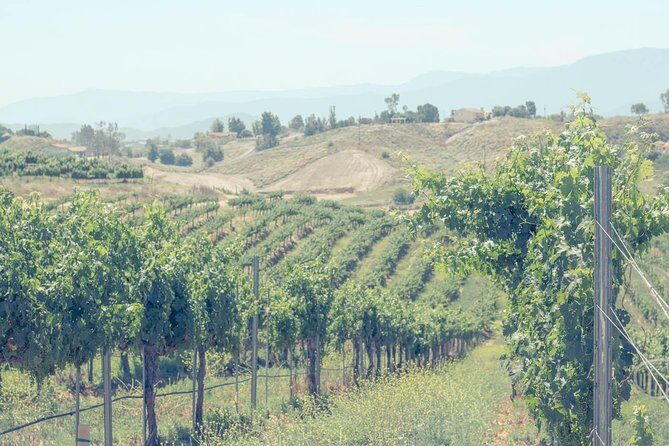 Private Luxury Transportation Experience - Temecula Valley - Summary