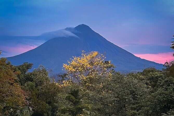 Private Luxury Transportation from the Airport to your Hotel - Who Is This Experience Best For?