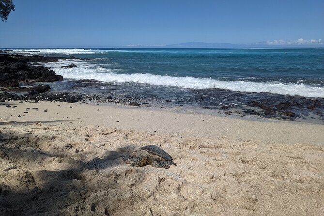 Private Luxury Van with Driver to Big Island Destinations of Your Choice - FAQ