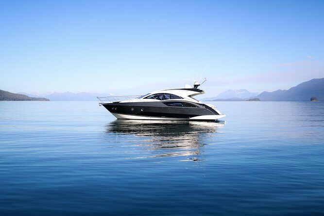 Private Luxury Whale Watch - A Closer Look at the Experience