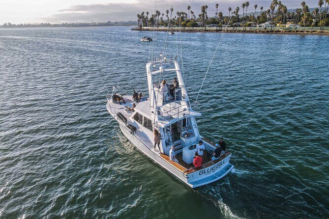 Private Luxury Whale Watching Tour in San Diego - Who Will Love This Tour?