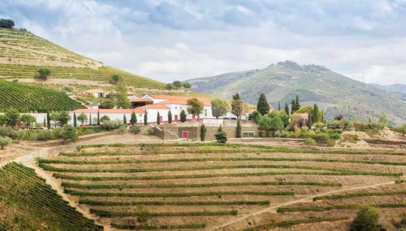 Private Luxury Wine & Food Tour in Douro - The Sum Up