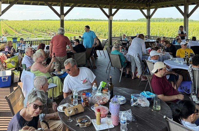 Private Luxury Wine Tours of Long Island Pindar Winery - The Sum Up: Who Should Book This Tour?