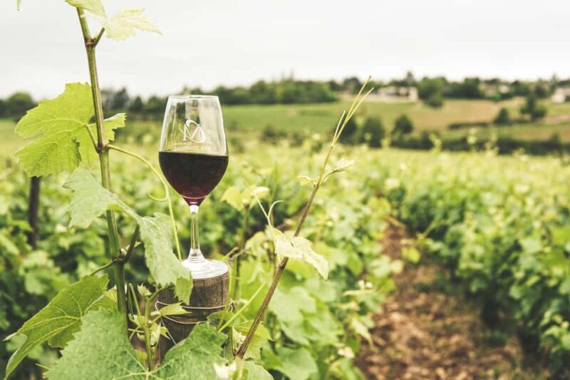 Private Luxury Winery Trip of Long Island, New York, USA - Exploring Long Island’s Wine Country: A Practical Guide