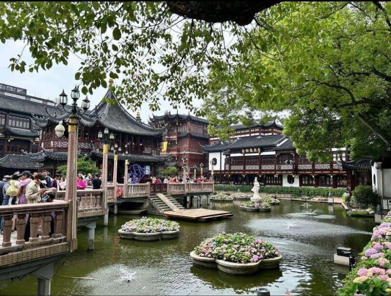 Private Lyaover: Cruising Shanghai in A Tesla - Who Should Consider This Tour?