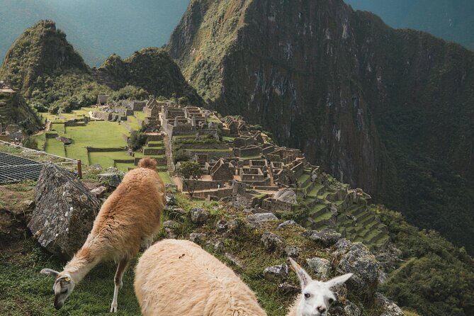 Private Machu Picchu Guided Tour from Aguas Calientes - Key Points