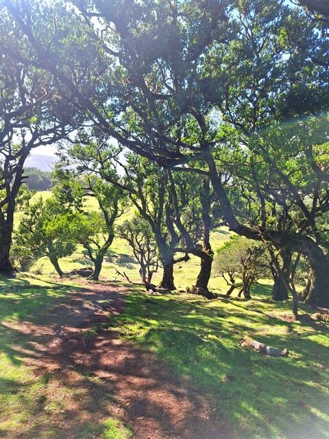 Private Madeira Complete Full Day Tour - Final Thoughts