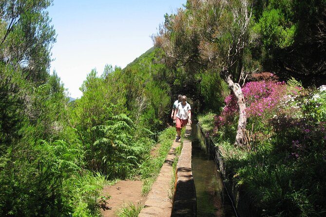 Private Madeira tour 8 people - A Deep Dive into Your Madeira Adventure