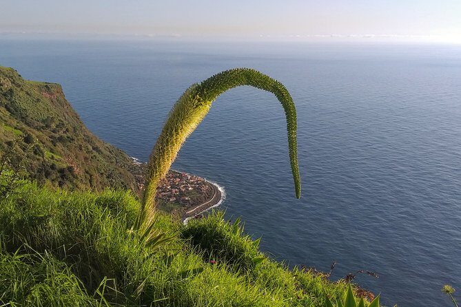 Private Madeira Tour up to 4 people - Final Thoughts