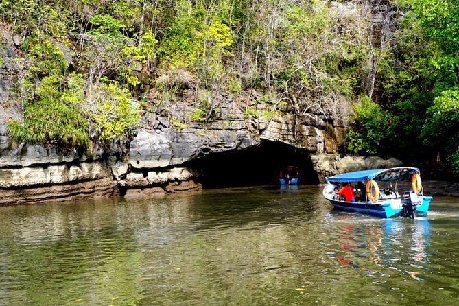 Private Mangrove Tour 2 Hour (max 8 People) - Diving Into the Details: What to Expect on Your Langkawi Mangrove Tour