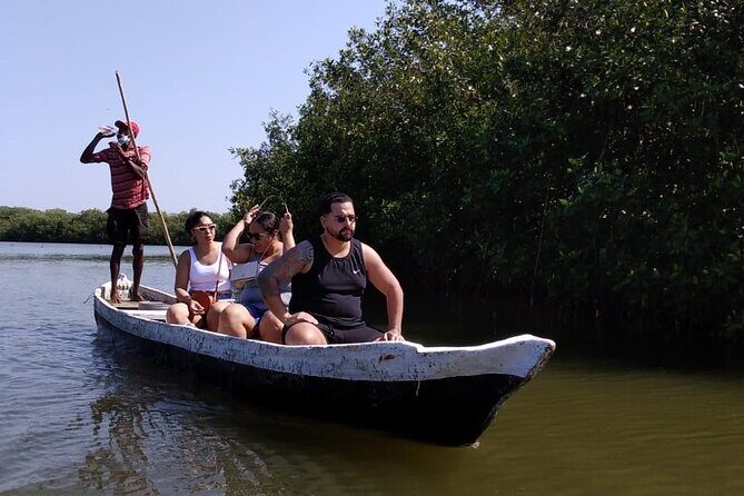 Private Mangrove Tour + Lunch + Horse riding + fishing classes - In-Depth Review of the Mangrove Tour Experience