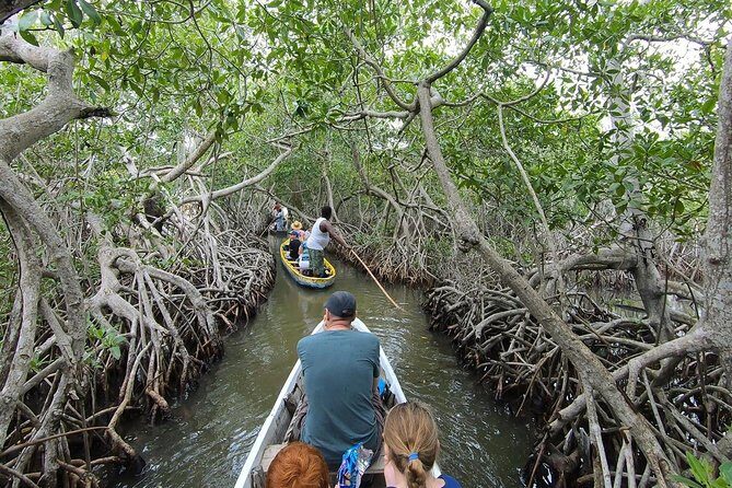 Private Mangrove Tour + Lunch + Horse riding + fishing classes - Frequently Asked Questions