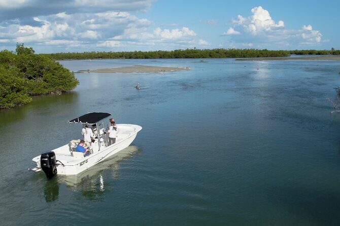 Private Marco Island / 10,000 Islands Sightseeing & Dolphin Tour - Key Points