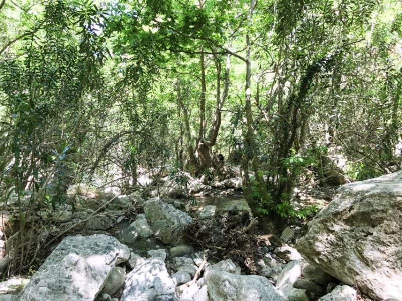 Private : Margarites village-Arkadi Monastery-Patsos Gorge - Final Thoughts
