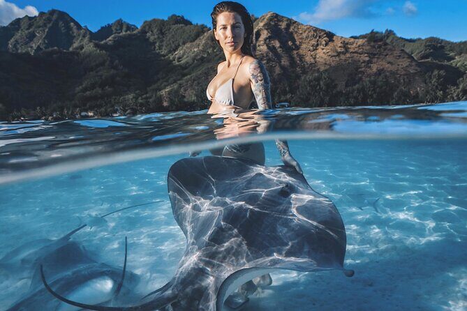Private Marine Wildlife Adventure with Underwater Photography - Dive into Moorea’s Marine Wonderland: Private Wildlife and Underwater Photography Adventure